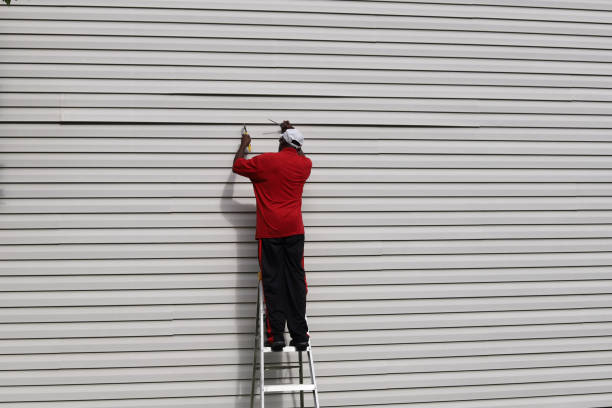 Best Insulated Siding Installation  in Greilickville, MI
